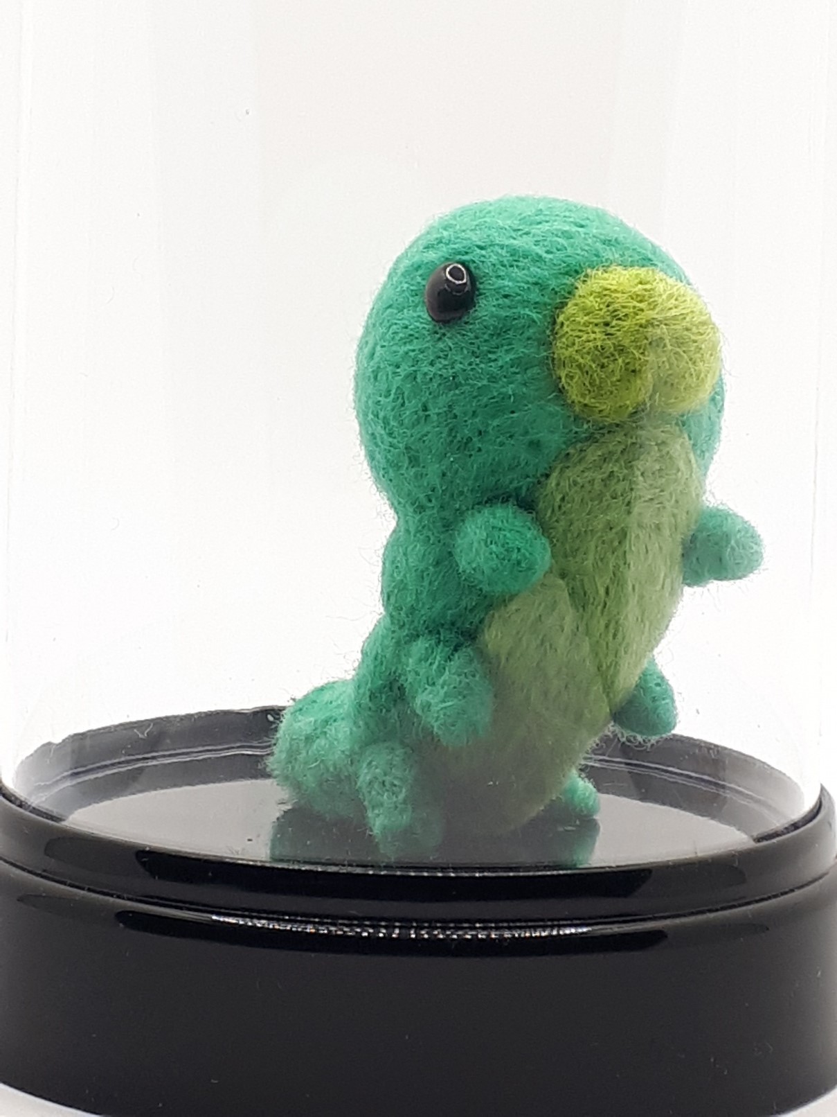 Green Grub in a Dome - Image 12