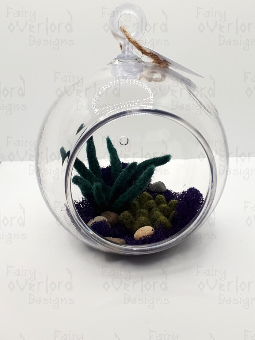 Hanging Succulent