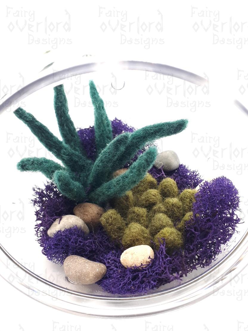 Hanging Succulent - Image 3