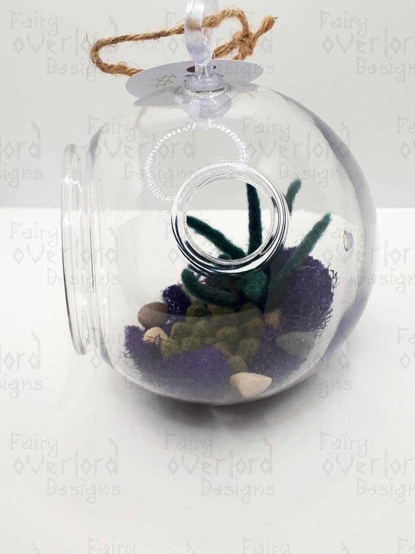 Hanging Succulent - Image 4