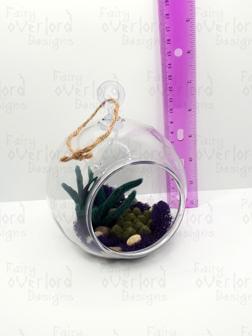 Hanging Succulent - Image 5